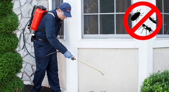 Bayrampaşa Gümüşkurt İlaçlama böcek ilaçlama ve haşere kontrolü — ilaclama-tr.com